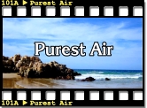 Purest Air